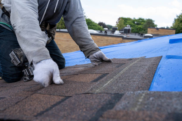 Best Flat Roof Repair Services  in Roaming Shores, OH
